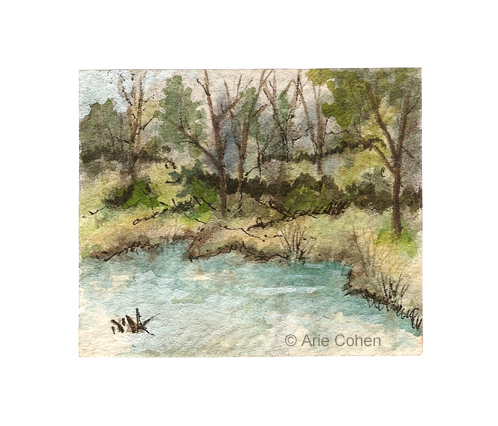 Miniature91 - Aquarelle by Arie Cohen LR