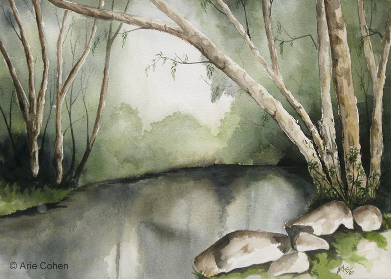 The Jordan River • נהר הירדן